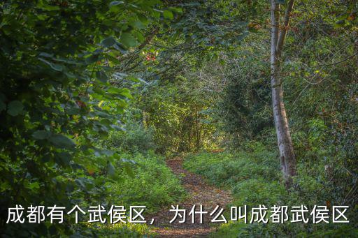 成都武侯區哪里有獸醫站,成都有個武侯區