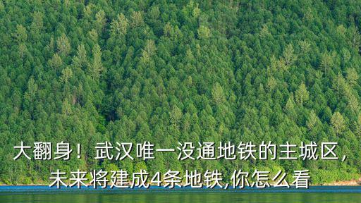 大翻身！武漢唯一沒通地鐵的主城區(qū)，未來將建成4條地鐵,你怎么看