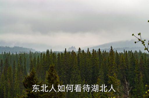 怎么和湖北人交往,湖南人和湖北人怎么區分