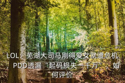 LOL：蕪湖大司馬剛得愛女就遭危機(jī)，PDD透漏“起碼損失一千萬”，如何評(píng)價(jià)