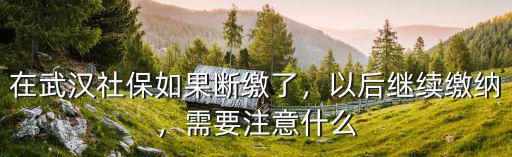 在武漢社保如果斷繳了，以后繼續(xù)繳納，需要注意什么