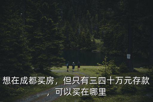 成都買房要的存款證明在哪里開,想在成都買房