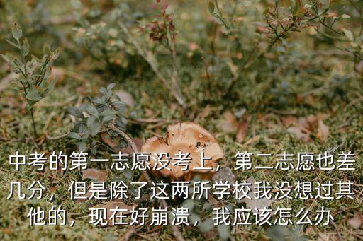 中考的第一志愿沒考上，第二志愿也差幾分，但是除了這兩所學(xué)校我沒想過其他的，現(xiàn)在好崩潰，我應(yīng)該怎么辦