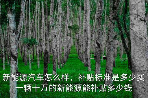 廊坊新能源車補(bǔ)貼多少錢,新能源汽車怎么樣