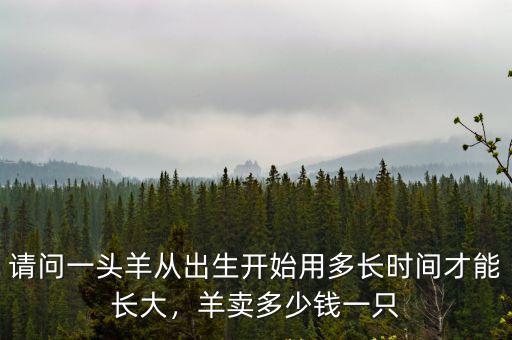 河北母羊羔多少錢一只,羊苗多少錢一只