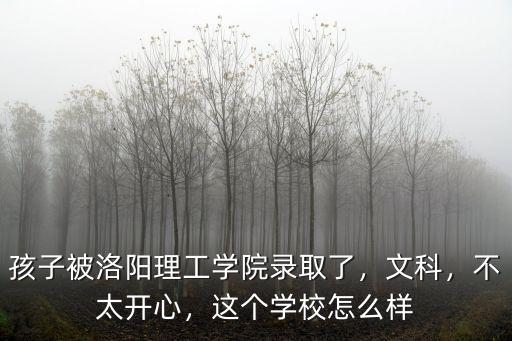 孩子被洛陽(yáng)理工學(xué)院錄取了，文科，不太開(kāi)心，這個(gè)學(xué)校怎么樣