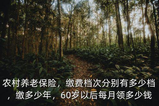 河北省農村養老保險給多少,農村養老保險