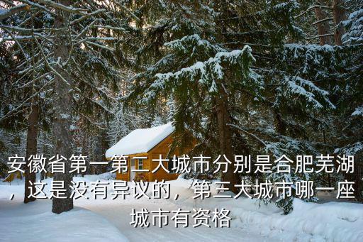安徽的大城市有多少,阜陽能算是安徽的第幾大城市
