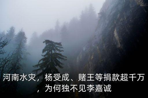 李嘉誠河南水災捐多少錢,河南水災少林寺捐款了嗎