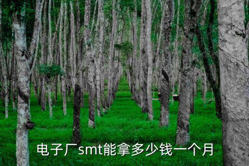 電子廠smt能拿多少錢一個月
