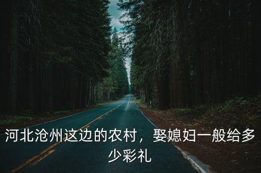 滄州黃驊港娶媳婦親家隨禮多少錢,娶媳婦一般給多少彩禮