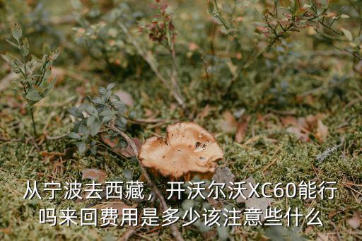 從寧波到宣城來回過路費多少,從寧波去西藏