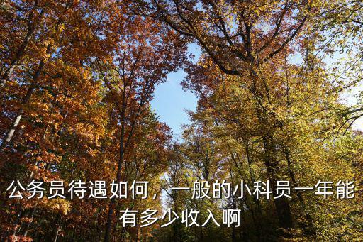 公務員待遇如何，一般的小科員一年能有多少收入啊