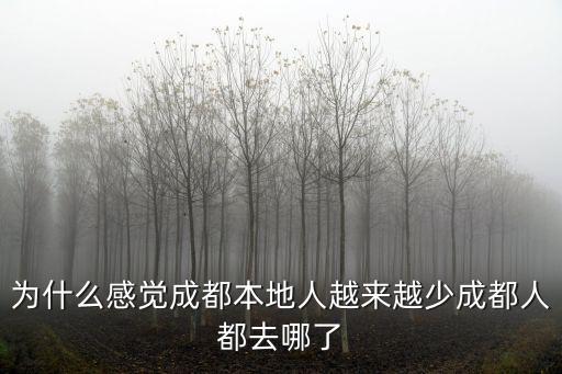 成都人哪里不行,成都人都去哪了