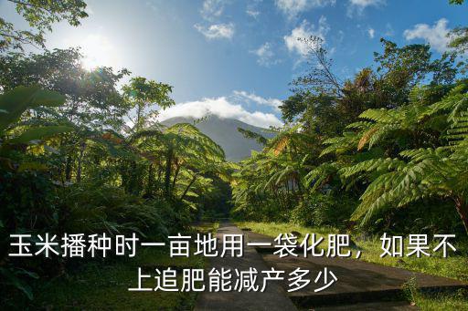 玉米播種時一畝地用一袋化肥，如果不上追肥能減產(chǎn)多少