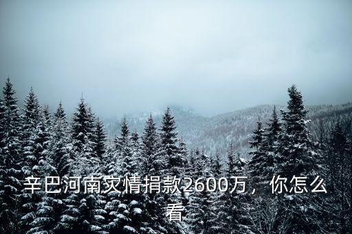 辛巴河南災(zāi)情捐款2600萬，你怎么看
