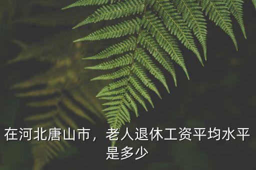 河北現(xiàn)在最低退休工資多少,老人退休工資平均水平是多少