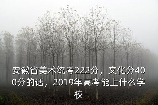 安徽省美術生考多少分上本科學校,安徽美術生省考276分