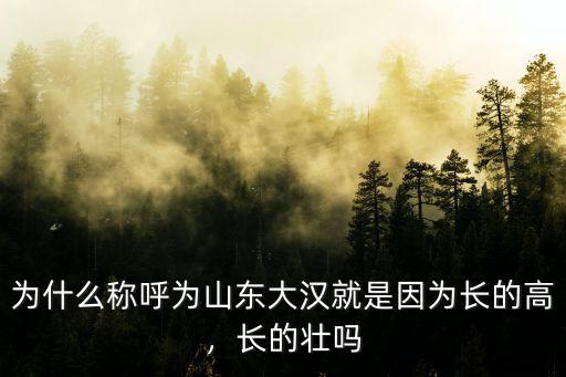 為什么稱呼為山東大漢就是因為長的高，長的壯嗎