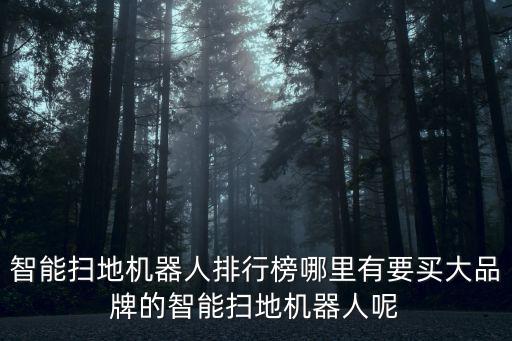 智能掃地機器人排行榜哪里有要買大品牌的智能掃地機器人呢
