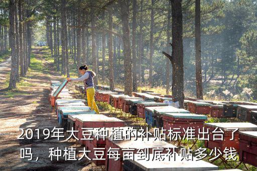 2019年大豆種植的補貼標準出臺了嗎，種植大豆每畝到底補貼多少錢