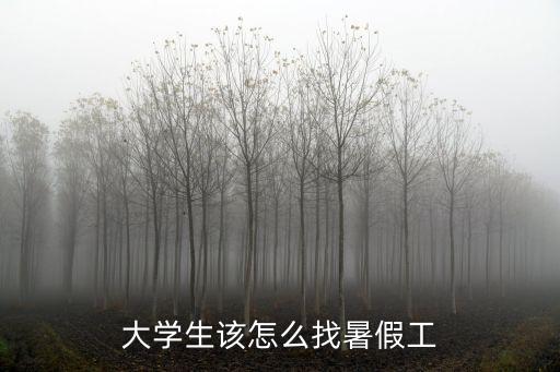 大學生該怎么找暑假工