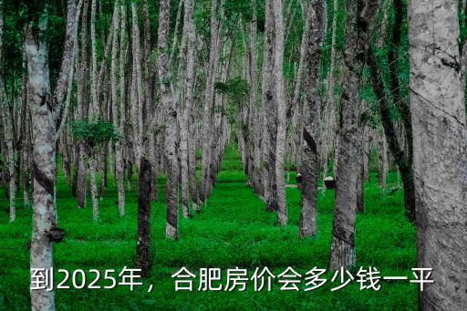 合肥炒房客一周有多少套,五年后合肥房價會漲多少