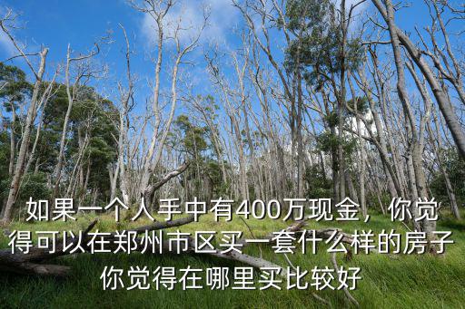 如果一個人手中有400萬現(xiàn)金，你覺得可以在鄭州市區(qū)買一套什么樣的房子你覺得在哪里買比較好
