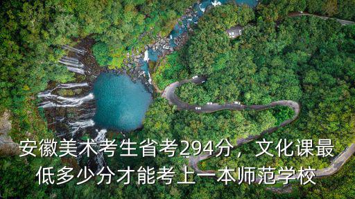 安徽美術考生省考294分，文化課最低多少分才能考上一本師范學校