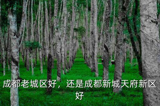 成都老社區哪里人多,成都老城區好