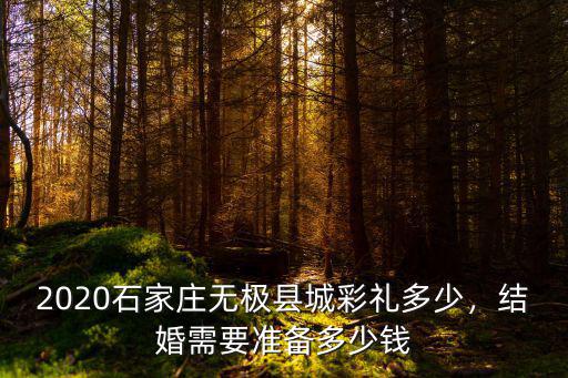 石家莊村里彩禮多少錢,石家莊井陘彩禮多少錢