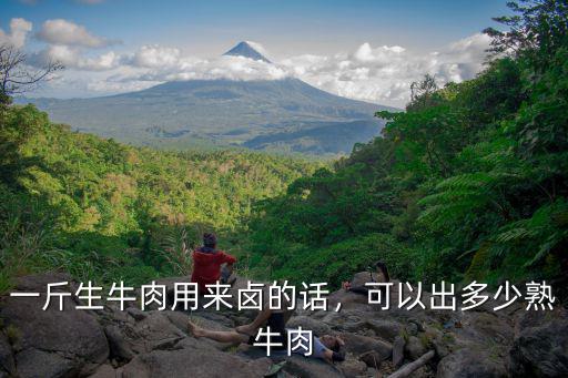 安徽鹵牛頭肉多少錢一斤,一斤生牛肉用來鹵的話