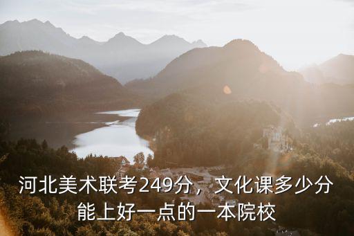 河北聯考250多少分上一本,河北美術聯考249分