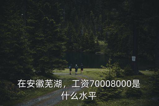 在安徽蕪湖，工資70008000是什么水平