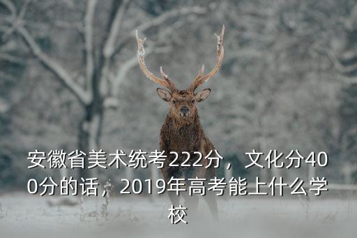安徽省2019年美術素描滿分多少,安徽省美術統考222分