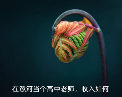 漯河高中寒假補課怎么樣,在漯河當個高中老師
