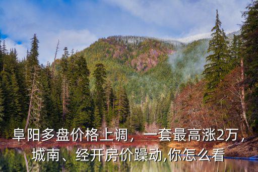 阜陽城南房價會漲多少,經(jīng)開房價躁動