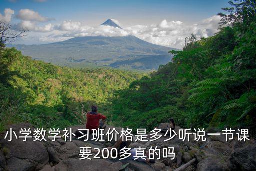 衡水補(bǔ)習(xí)班一節(jié)課多少錢,小學(xué)數(shù)學(xué)補(bǔ)習(xí)班價(jià)格是多少