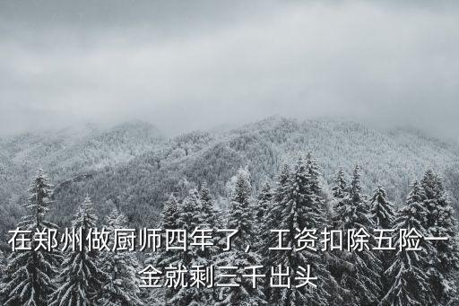 在鄭州做廚師四年了，工資扣除五險一金就剩三千出頭