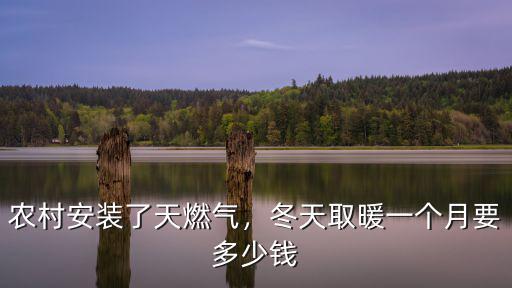 農(nóng)村安裝了天燃?xì)猓烊∨粋€(gè)月要多少錢