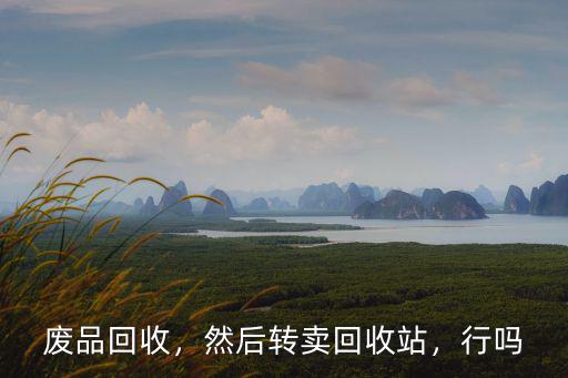 廢品回收，然后轉賣回收站，行嗎