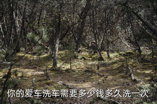 邢臺洗車年卡一般多少錢,你的愛車洗車需要多少錢