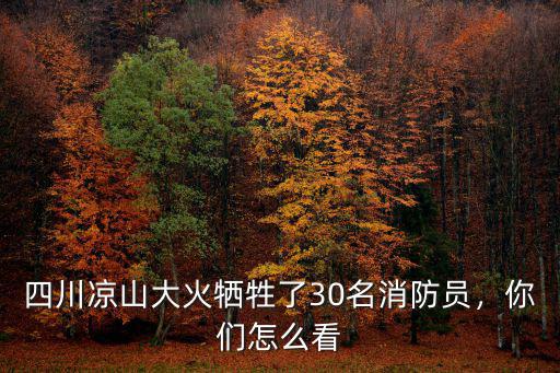 四川涼山大火犧牲了30名消防員，你們?cè)趺纯? class=