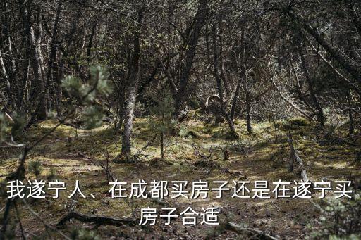 我遂寧人、在成都買房子還是在遂寧買房子合適