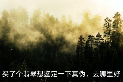 成都玉石去哪里鑒定,玉石去哪里鑒定可靠