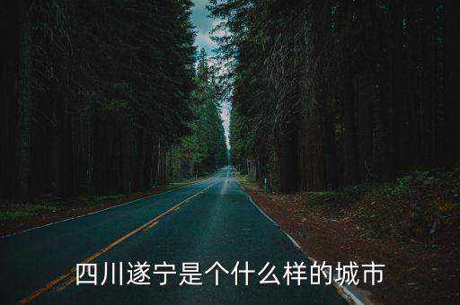 四川遂寧是個(gè)什么樣的城市