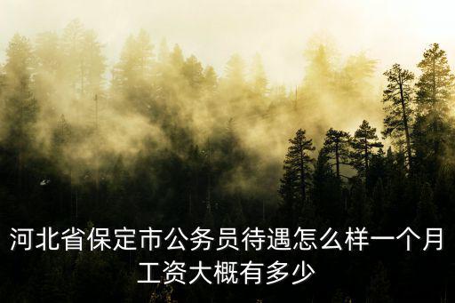 河北省保定市公務員待遇怎么樣一個月工資大概有多少