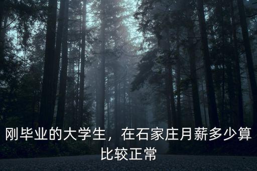 剛畢業(yè)的大學(xué)生，在石家莊月薪多少算比較正常