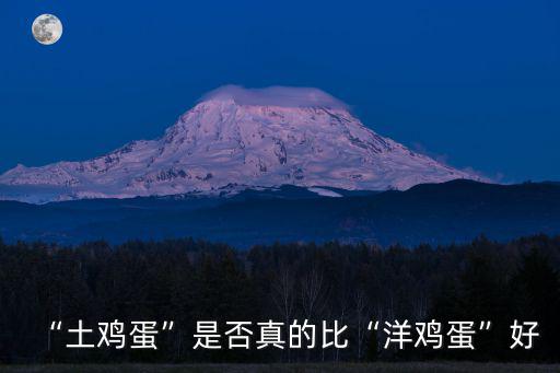 成都土雞蛋哪里最好,土雞蛋是否真的比洋雞蛋好