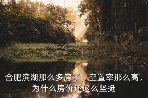 合肥濱湖那么多房子，空置率那么高，為什么房價還這么堅挺